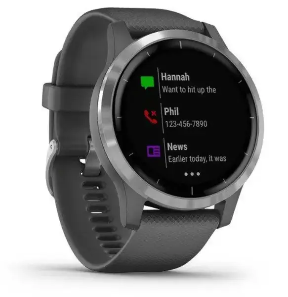 Смарт-годинник Garmin vivoactive 4 Shadow Gray/Silver (010-02174-03/010-02174-01)