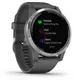 Смарт-годинник Garmin vivoactive 4 Shadow Gray/Silver (010-02174-03/010-02174-01)