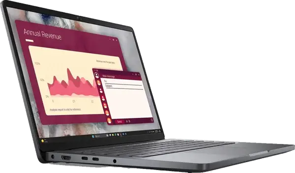 Ноутбук Dell Pro 14 Ryzen 3-210/8GB/512/Win11P (BTO501_PC14255_EMEA)