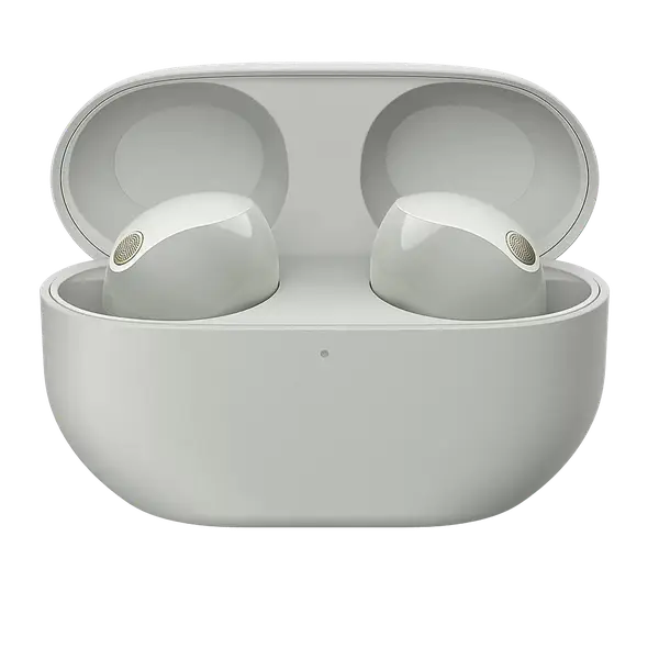 Бездротові навушники Sony WF-1000XM5 Silver (WF1000XM5S.CE7)