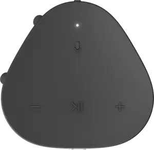 Портативная колонка Sonos Roam Black (ROAM1R21BLK)