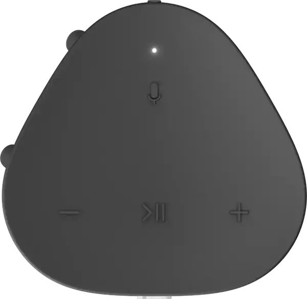 Портативная колонка Sonos Roam Black (ROAM1R21BLK)