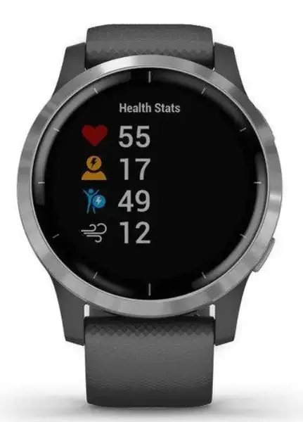 Смарт-годинник Garmin vivoactive 4 Shadow Gray/Silver (010-02174-03/010-02174-01)
