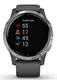 Смарт-годинник Garmin vivoactive 4 Shadow Gray/Silver (010-02174-03/010-02174-01)