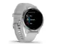 Смарт-годинник Garmin Venu 2S Silver Stainless Steel Bezel with Mist Gray Case and Silicone Band (010-02429-12/02)