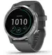 Смарт-годинник Garmin vivoactive 4 Shadow Gray/Silver (010-02174-03/010-02174-01)
