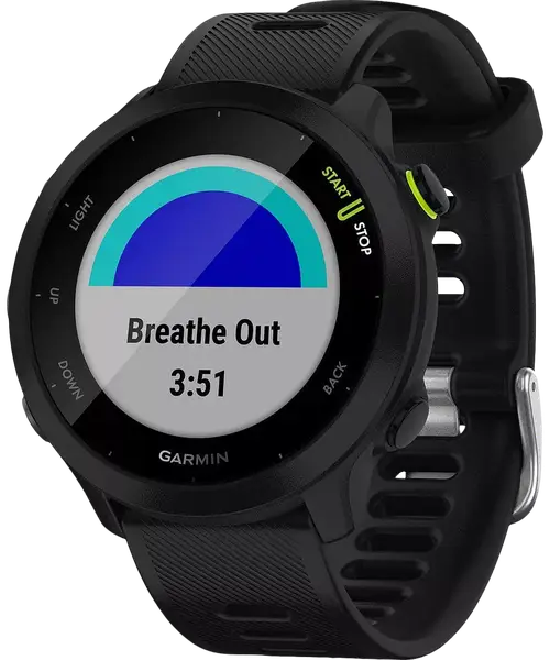 Спортивний годинник Garmin Forerunner 55 Black (010-02562-00/10)