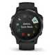 Смарт-годинник Garmin Fenix 6S Pro Black With Black Band (010-02159-14/010-02159-13)