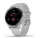 Смарт-годинник Garmin Venu 2S Silver Stainless Steel Bezel with Mist Gray Case and Silicone Band (010-02429-12/02)