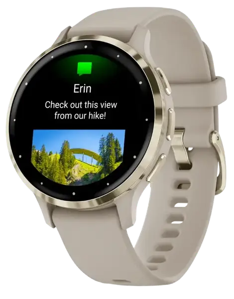 Смарт-годинник Garmin Venu 3S Soft Gold S. Steel Bezel w. French Gray Case and S. Band (010-02785-02)