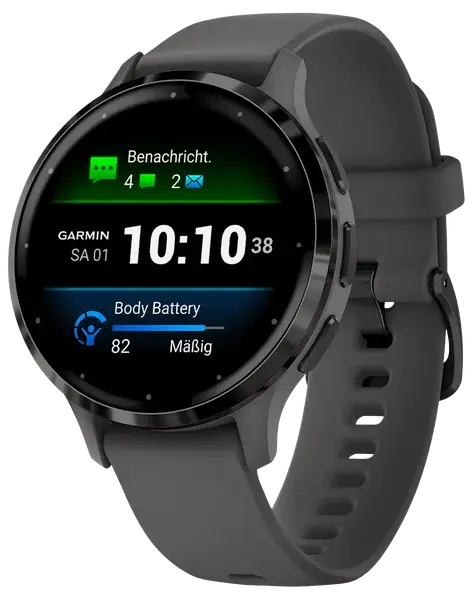 Смарт-часы Garmin Venu 3S Slate S. Steel Bezel w. Pebble Gray Case and S. Band (010-02785-00)