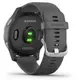 Смарт-годинник Garmin vivoactive 4 Shadow Gray/Silver (010-02174-03/010-02174-01)
